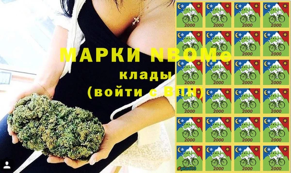 ГАЛЛЮЦИНОГЕННЫЕ ГРИБЫ Аркадак