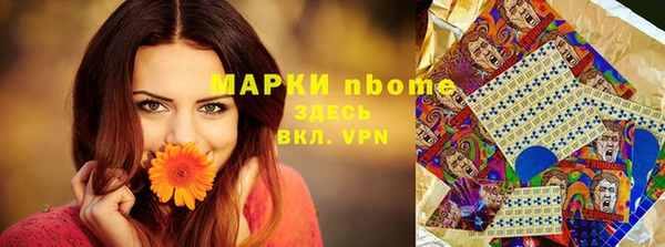 ГАЛЛЮЦИНОГЕННЫЕ ГРИБЫ Аркадак