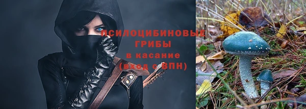 МДПВ Армянск