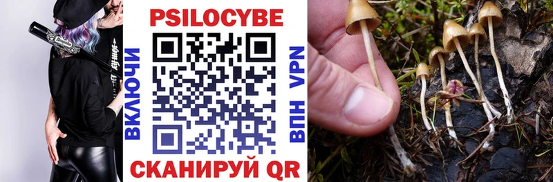 Псилоцибиновые грибы мухоморы  Радужный 