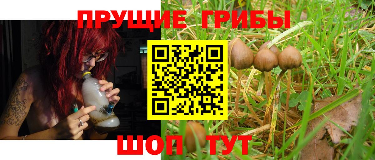 Радужный  Псилоцибиновые грибы GOLDEN TEACHER  Вход с VPN 